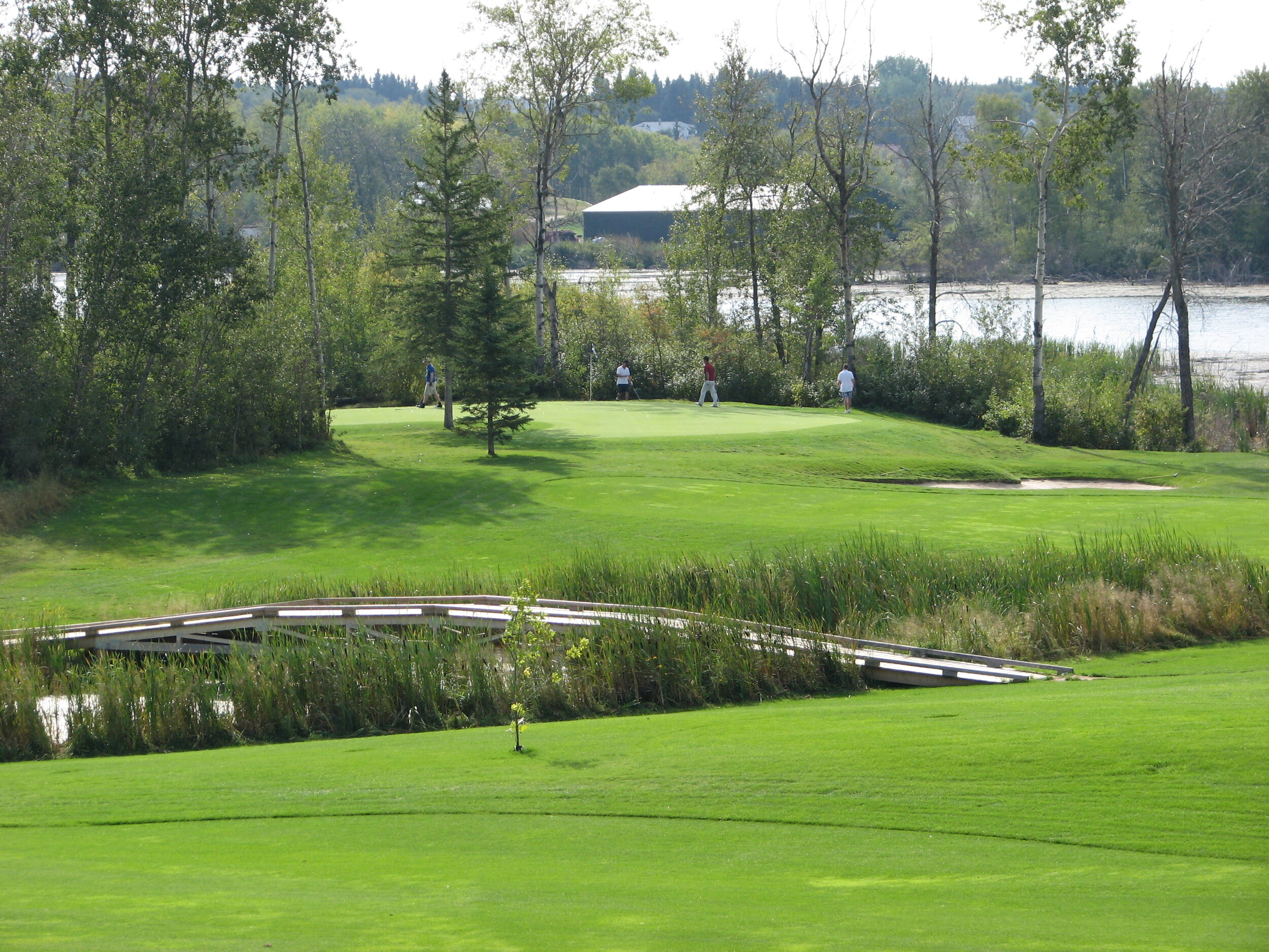 Image of golf ball on tee on grass.